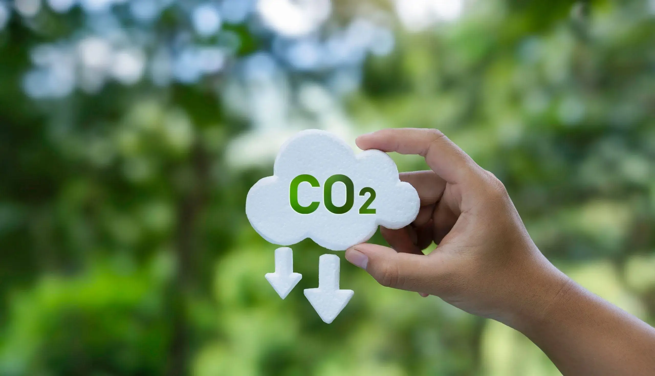 What-Is-the-Carbon-Footprint-of-Your-Water-Service